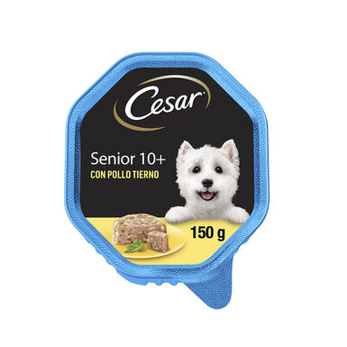 Cesar Senior Pollo en gelatina tarrina para perros